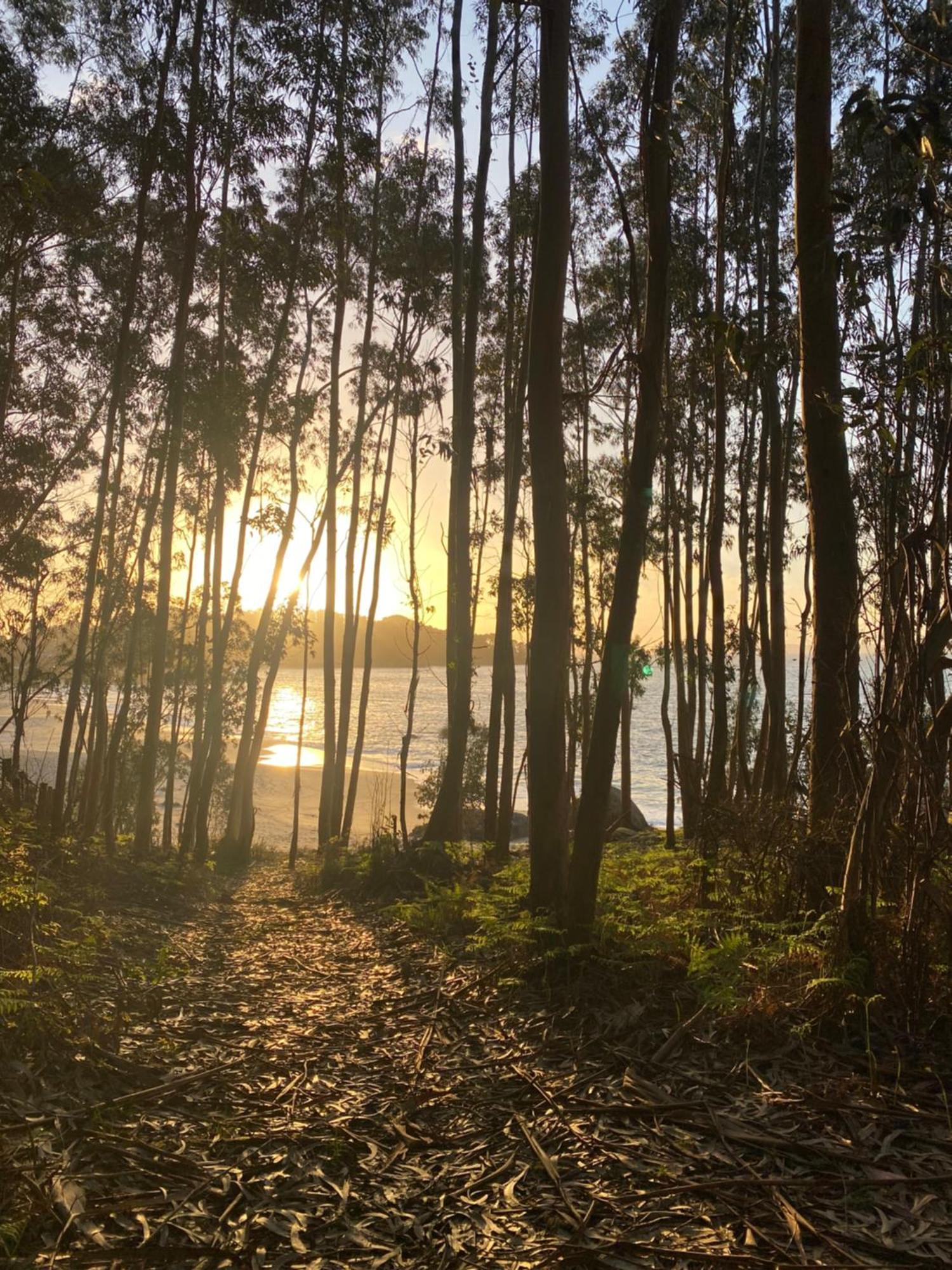 Rincon De Lagos, Bueu Понтеведра Экстерьер фото